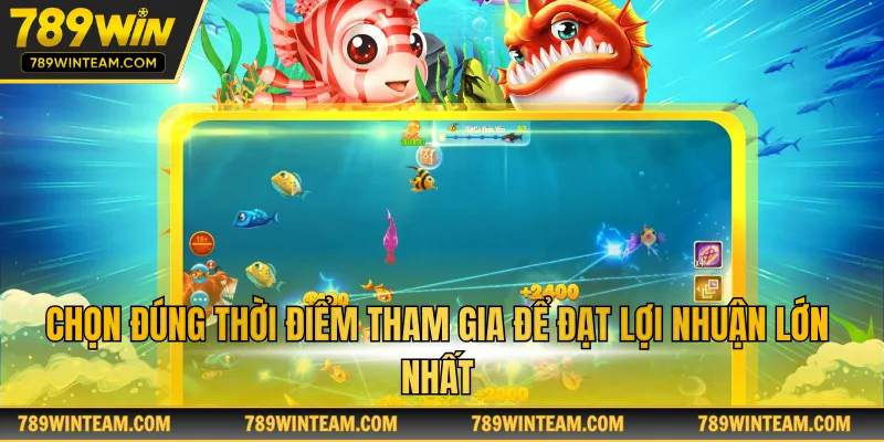 Chọn đúng thời điểm tham gia để đạt lợi nhuận lớn nhất