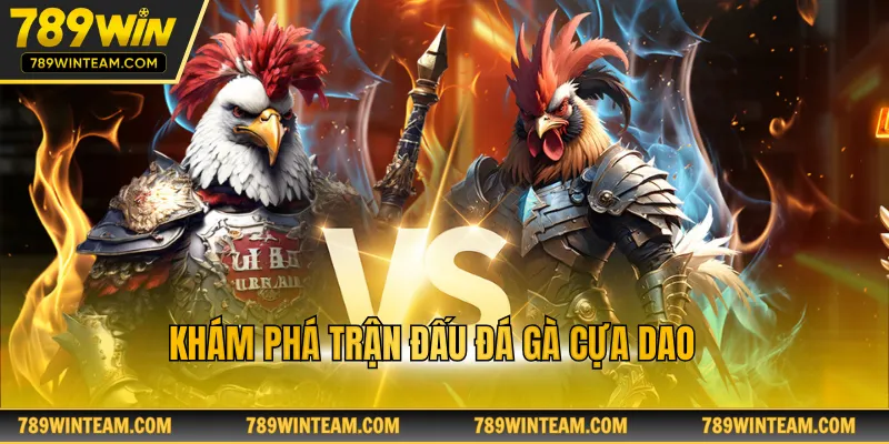 Khám phá trận đấu đá gà cựa dao