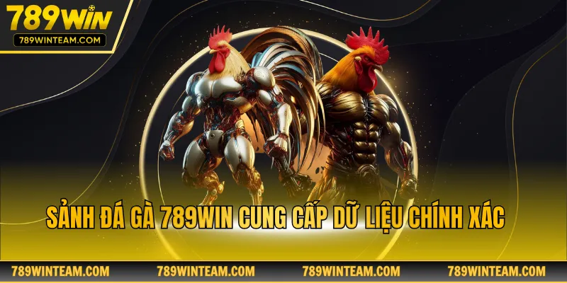 Sảnh đá gà 789win cung cấp dữ liệu chính xác